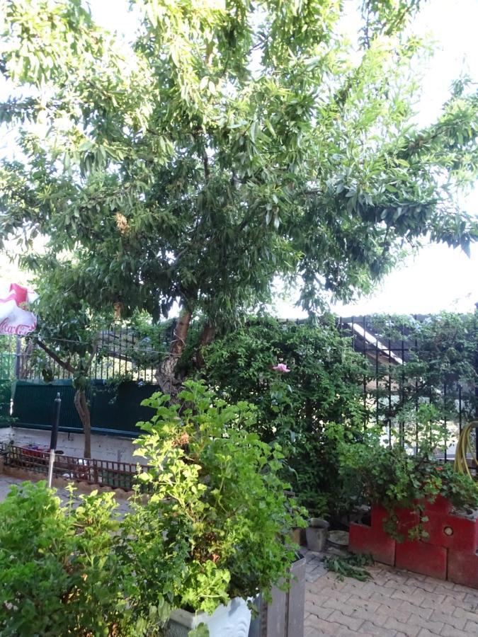 Artemis Greenhill Appartement Vravrona
