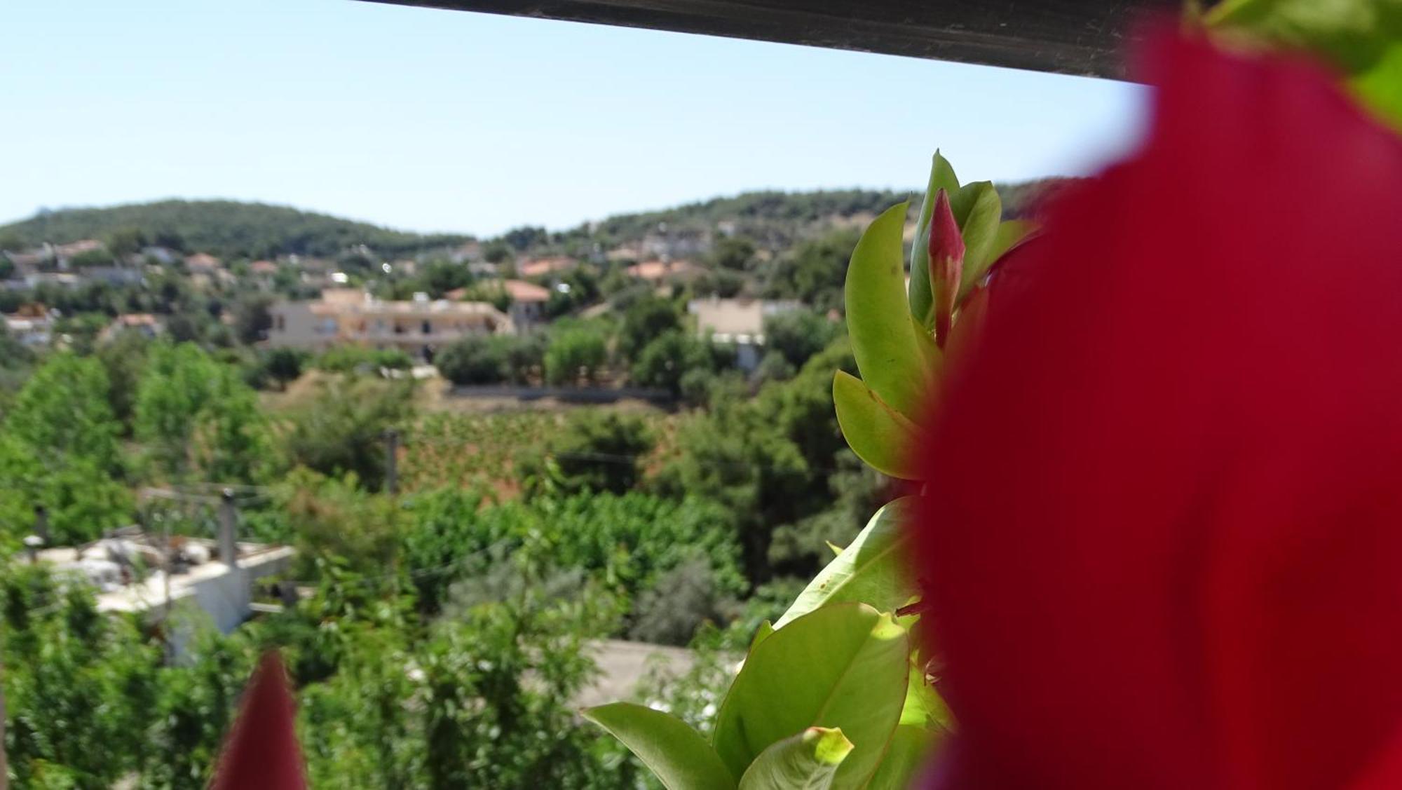 Artemis Greenhill Appartement