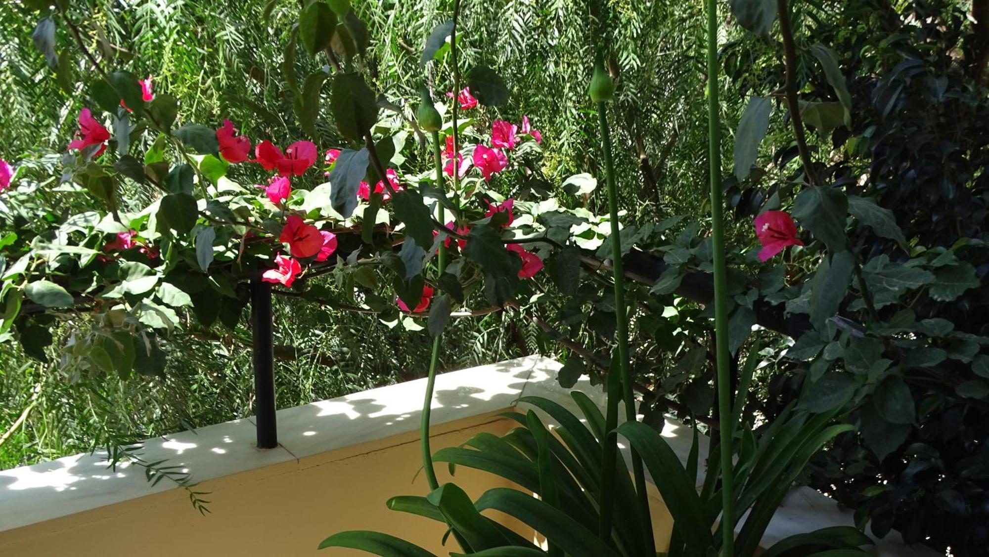 Appartement Artemis Greenhill Vravrona